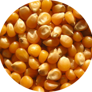 Кукуруза фуражная кормовая 40 кг