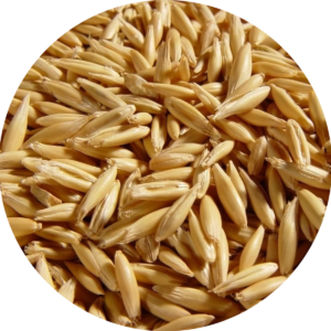 Овес фуражный 30 кг